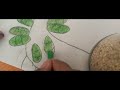 S2 EP 16 How to Draw Bayleef