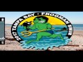 Tampabay Frogman Swim Jan 15, 2017