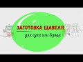 Заморозка щавеля на зиму: 2 удобных способа, как заморозить щавель для борща или супа