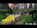 FIGHTING PEOPLE on Animal Life: Forest Roleplay Roblox