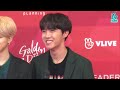 190106 BTS at the 33rd GDA Red Carpet (Day 2)