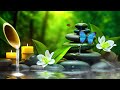 Relaxing Music to Rest the Mind - Meditation Music, Peaceful Music, Stress Relief, Zen, Spa, Sleep