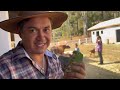 CONSTRUINDO UM NOVO LAGO PARA OS CISNES. Dia de muita diversão em família.