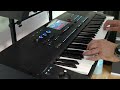 La Paloma - Using The Velocity Sensitive Arranger On The Thomann AK-X 1100 / Medeli AKX 10 Keyboard