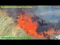 Kanyakumari Mountains Fire Video (2021, 2020, 2019, 2017 & 2016) Chunkankadai Mountain Fire Video