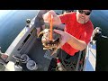 What you should know to catch more crab in Puget Sound | Crabbing 101