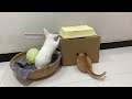 Unbelievable! The kitten and the rabbit have a special date. A fun date! 😂 So cute and funny