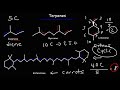 Lipids - Fatty Acids, Triglycerides, Phospholipids, Terpenes, Waxes, Eicosanoids