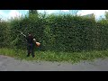 SATISFYING BEECH HEDGE TRIMMING.WATCH TILL THE END FOR THE FULL TRANSFORMATION