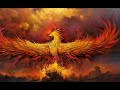 Rising from the Ashes: The Phoenix Story