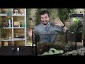 DIY WATERFALL PALUDARIUM For MYSTERY PET From Josh's Frogs!