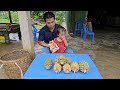 Harvesting pineapple garden goes to the market sell - XuanTruong