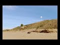 RC ARRMA SENTON, BEACH BLAST