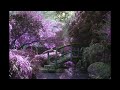 AMAZING meditation music to RELAX your mind, body and soul.