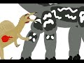 Jason Longneck vs Spinosaurus aegyptiacus