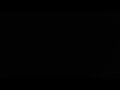 ULTRA DOLPHINS RETURN! (Trailer) AFL 23 Career Mode