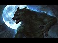 Werebeasts | Tigers, Hyenas, and More!