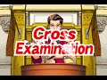 Turnabout Sisters But Grossberg Takes The Case, PRT2