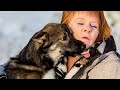 Northern Pines Sled Dog Race