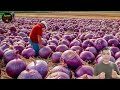 How to Process TONS of Onions in Factory: Harvesting and processing Onions