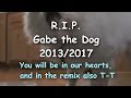 [REUPLOAD] Gabe The Dog Has a Sparta G.O.D Remix