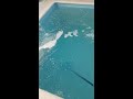 Agua turbia en piscina Solución  en 8 minutos.