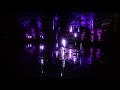 2019 - 3.10.19 Enchanted Forest Pitlochry - Stroble lights 2
