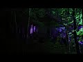 2019 - 3.10.19 Enchanted Forest Pitlochry - Walkthrough Lightshow