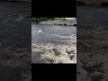 Black River Rapids