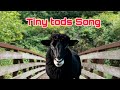 TINYTODSONG🎙️🎵||BABA BLACK SHEEP IN PNAR|| @Pyntyrshain_Syngkon_Official