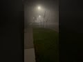 scary foggy night on road