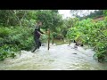 Returning Home After 6 Months. Catching Fish and Cooking During The Flood Season| Primitive Villa