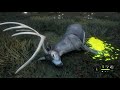 theHunter Call of the Wild Perfect 1000 Diamond Blacktail