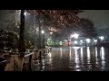 World Cup Park in the winter rain - Sleep well with Rain sounds that help you forget insomnia.
