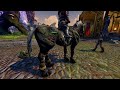 Neverwinter Mounts I think my Horse is sick.