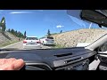 Grizzly Encounter with Mother and 5 Cubs - Yellowstone National Park