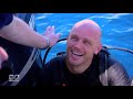 Brave diver's arm and leg ripped off by bull shark in Sydney | 60 Minutes Australia