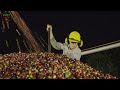 How Millions Of Pounds Of Coffee Are Harvested, Instant coffee Capsule coffee Process at The Factory