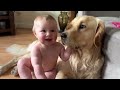 The Best Years Of Our Lives! Baby And Pups Growing Up Together Compilation (Cutest Ever!!)
