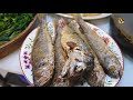 EP.569 Shrimp Paste Chili Paste, Omelette with Leucaena , Fried Fish, and Boiled Vegetables