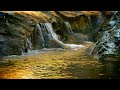 Calm Your Mind with Nature Sounds • Relaxing Water Stream Sound, Yoga, Meditation