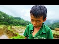 Orphan Boy.  Fishing in Heavy Rain with Four Hooks