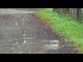 [4K] Raindrops falling on a country road. Rain Sounds for Deep Sleep . Rain Sound Relaxation