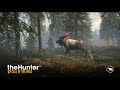 theHunter  Call of the Wild 7 Diamonds in one map