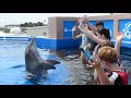 TEEN Camp at Marineland Dolphin Adventure