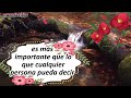 PARA TI💐🌷 LINDO MENSAJE DE BUENOS DIAS🍓🍒🌹ESPECIALMENTE PARA TI