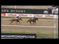 1/20 shot Triple Dip gets beaten at Lingfield