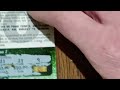 I Played the lottery and won! Watch till the end #lottery #winner #scratchofftickets #scratchoffs