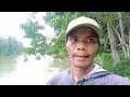 stike terus pake umpan ini || mancing ikan nilem || mancing sungai liar