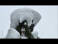 VISITING THE ICE CLIMBING PARK IN SANDSTONE MINNESOTA | WINTER IN MINNESOTA